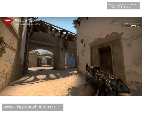 电竞实时数据专家陈秀英分享CSGO游戏技巧与心得体会实时数据 电竞实时数据专家陈秀英分享CSGO游戏技巧与心得体会实时数据